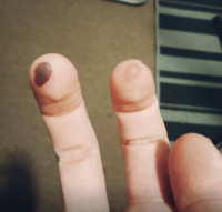 Sat Jan 11 – Tea Gardens Hotel